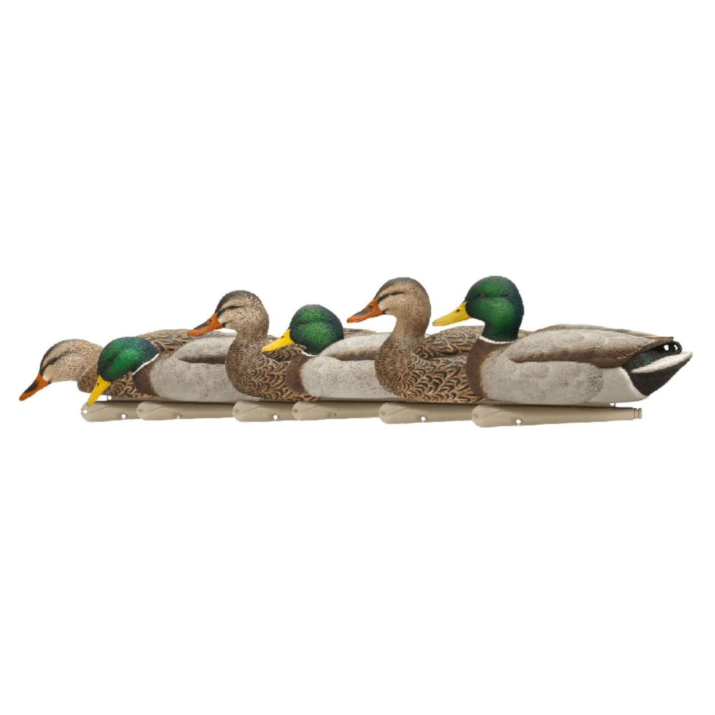 Topflight Floating Duck Decoys Fusion Pack With Flocked-Headed Mallard Drakes - 12 Pack