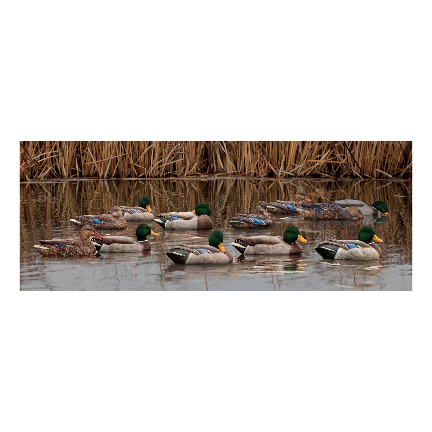 Topflight Mallard Duck Decoy Outfitter Pack