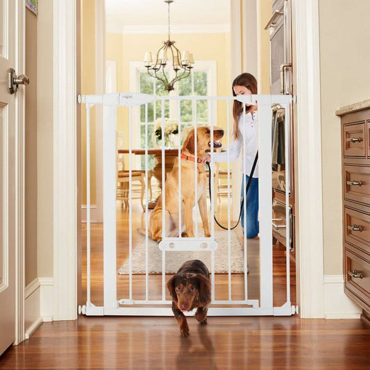 Tall & Wide Walk Thru Easypass Pet Gate, 5457