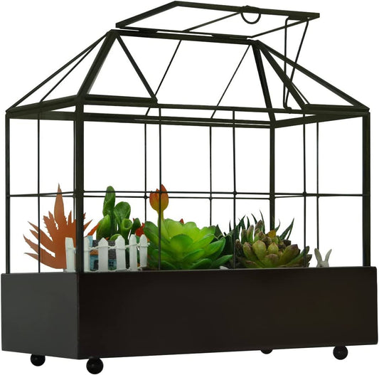 Tall Plant Terrarium Glass - Glass Greenhouse Terrarium With Lid And Tray,Indoor Tabletop Orchid Succulent Cacti Terrarium Kit 9.5”X9.8”X5.6”